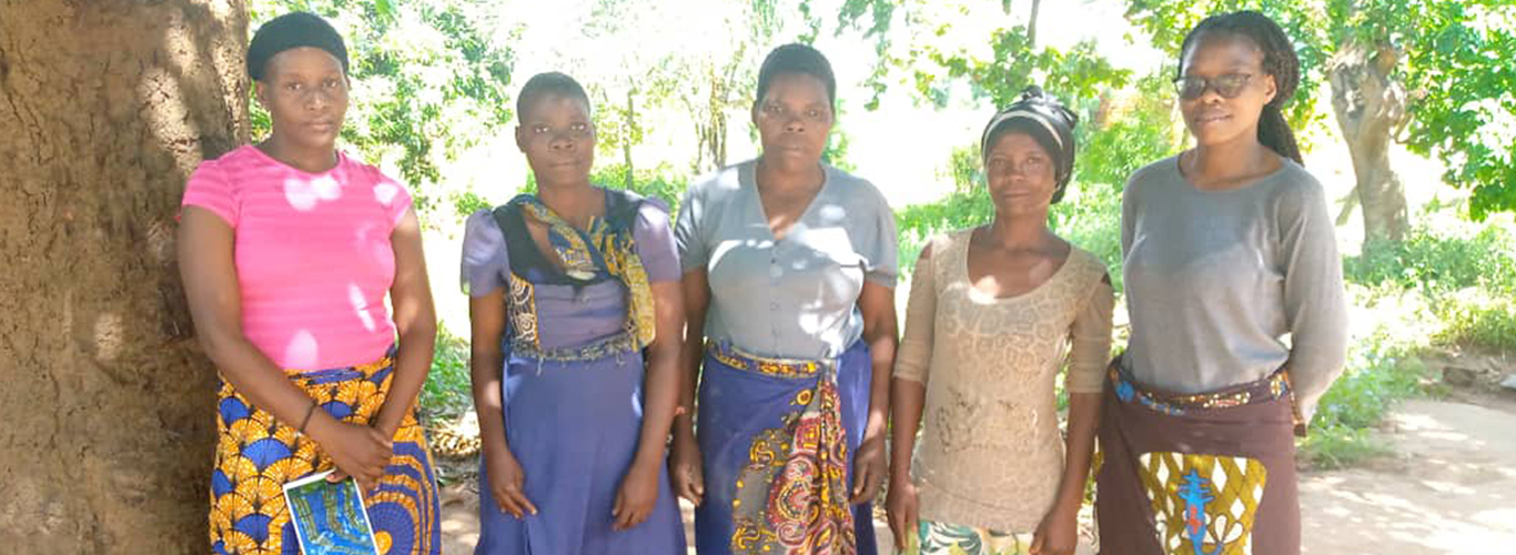 Description of image 1